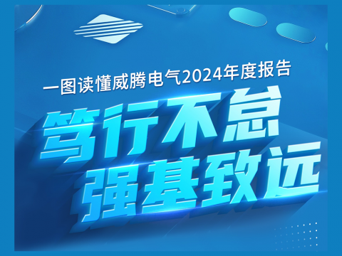 一图读懂开元游戏大厅app电气2024年度汇报